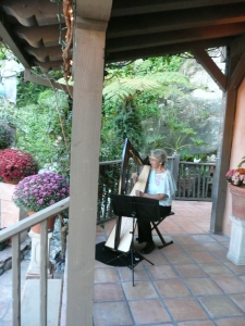 Judy Phillips playing at a wedding